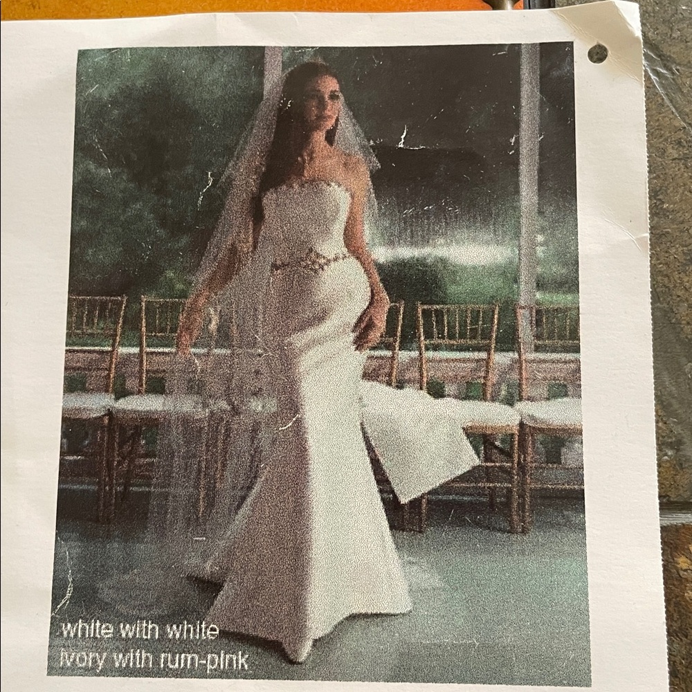 EUC- Mary’s wedding/ formal dress - Picture 4 of 10